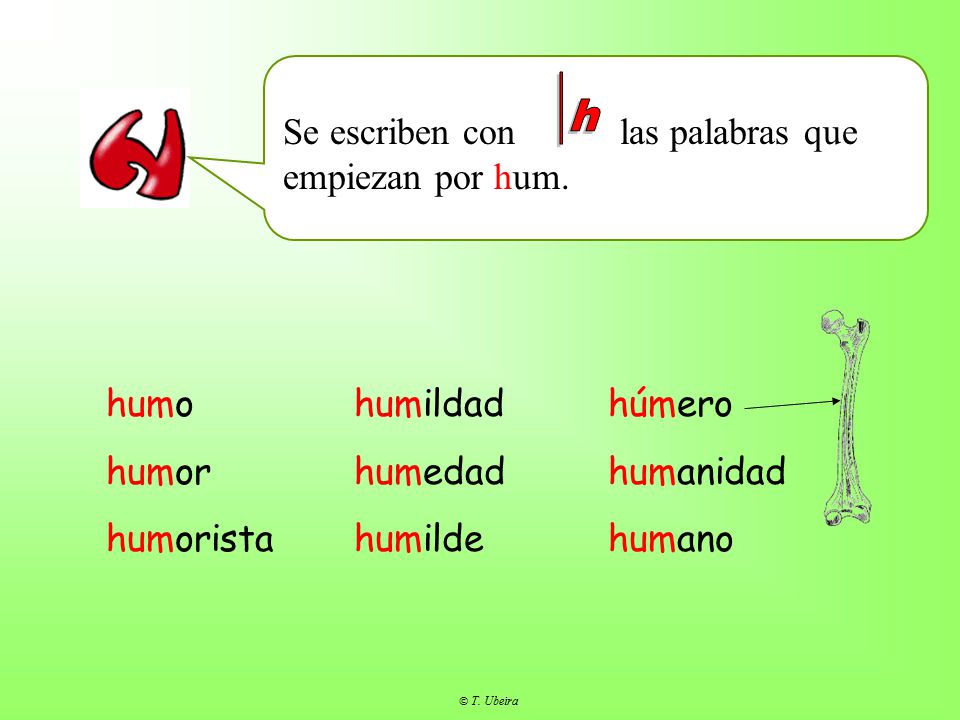 h Se escriben con las palabras que empiezan por hum.