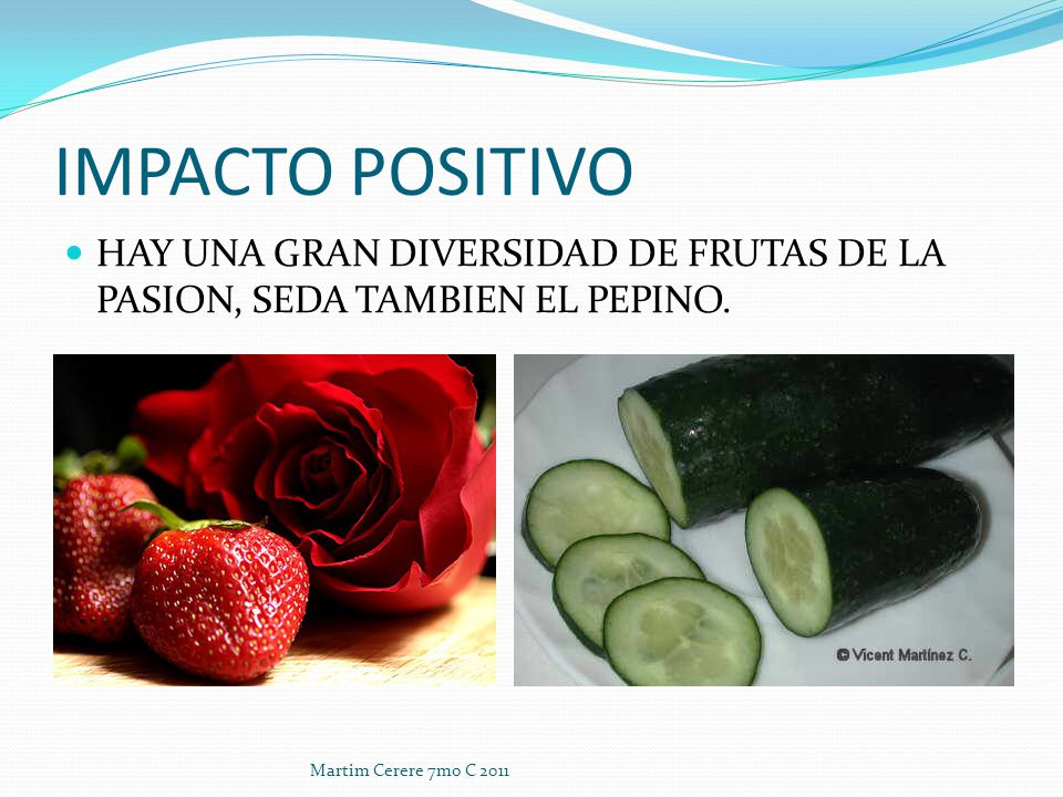 IMPACTO POSITIVO HAY UNA GRAN DIVERSIDAD DE FRUTAS DE LA PASION, SEDA TAMBIEN EL PEPINO.
