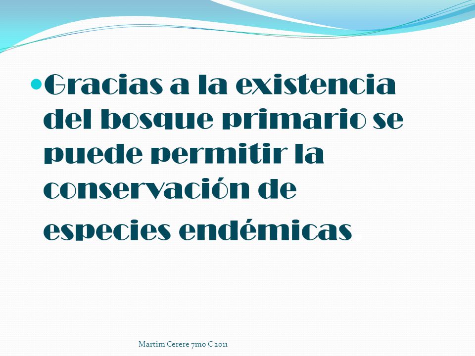 Gracias a la existencia del bosque primario se puede permitir la conservación de