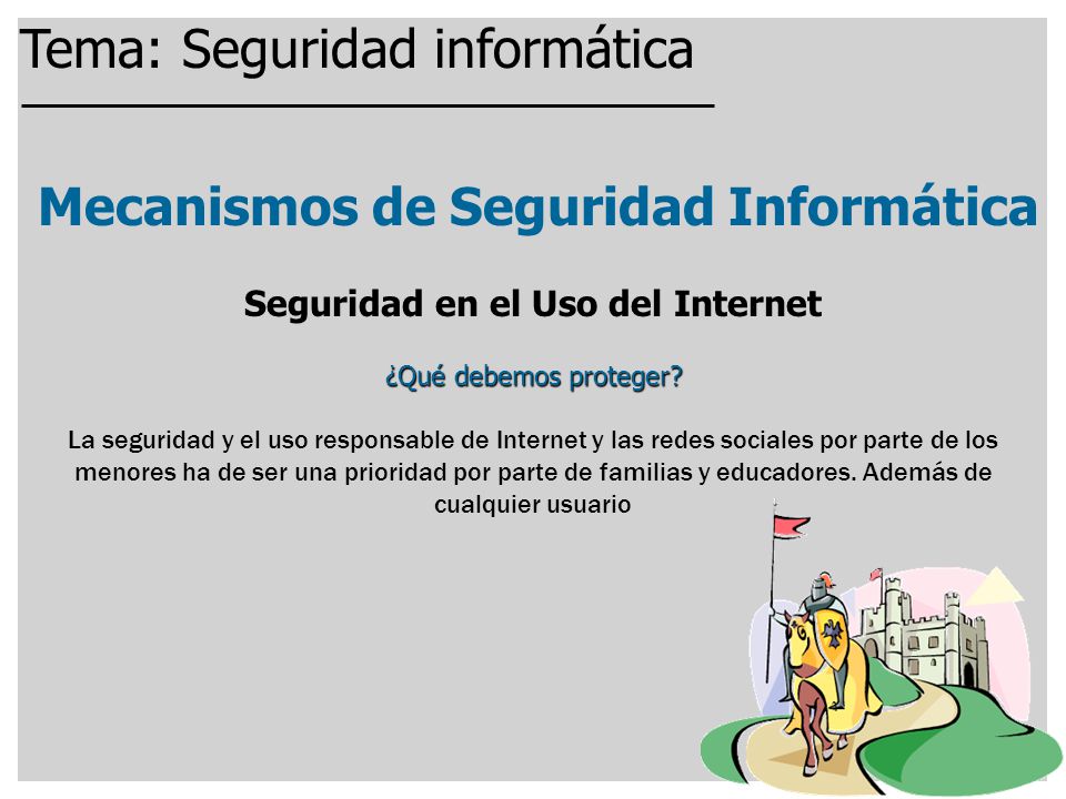 Mecanismos de Seguridad Informática Seguridad en el Uso del Internet