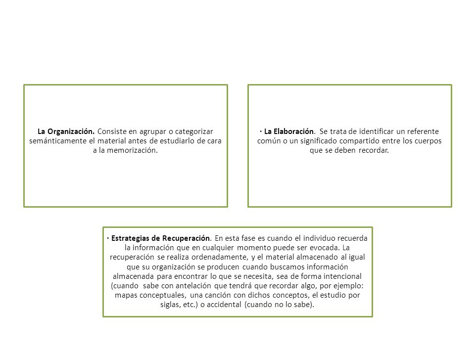 La Organización. Consiste en agrupar o categorizar semánticamente el material antes de estudiarlo de cara a la memorización.