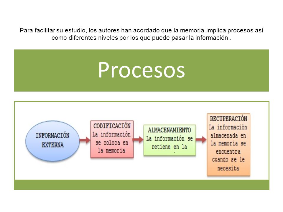 Para facilitar su estudio, los autores han acordado que la memoria implica procesos así como diferentes niveles por los que puede pasar la información .