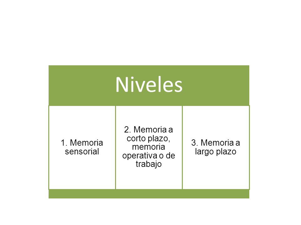 2. Memoria a corto plazo, memoria operativa o de trabajo