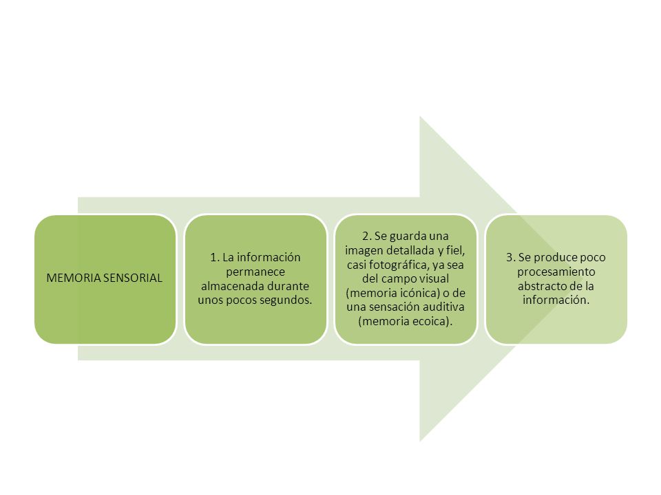 1. La información permanece almacenada durante unos pocos segundos.