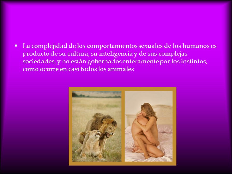 La complejidad de los comportamientos sexuales de los humanos es producto de su cultura, su inteligencia y de sus complejas sociedades, y no están gobernados enteramente por los instintos, como ocurre en casi todos los animales