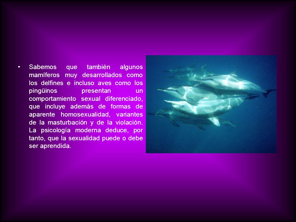 Sabemos que también algunos mamíferos muy desarrollados como los delfines e incluso aves como los pingüinos presentan un comportamiento sexual diferenciado, que incluye además de formas de aparente homosexualidad, variantes de la masturbación y de la violación.