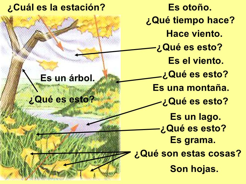 ¿Cuál es la estación Es otoño. ¿Qué tiempo hace Hace viento. ¿Qué es esto Es el viento. ¿Qué es esto