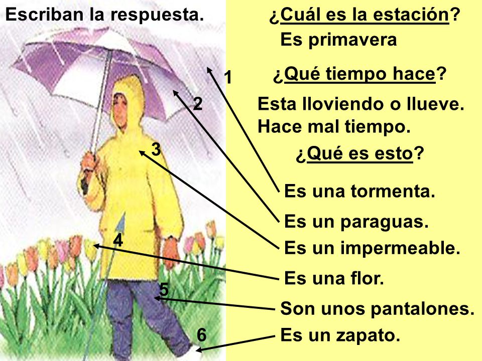 Escriban la respuesta. ¿Cuál es la estación Es primavera. ¿Qué tiempo hace Esta lloviendo o llueve. Hace mal tiempo.