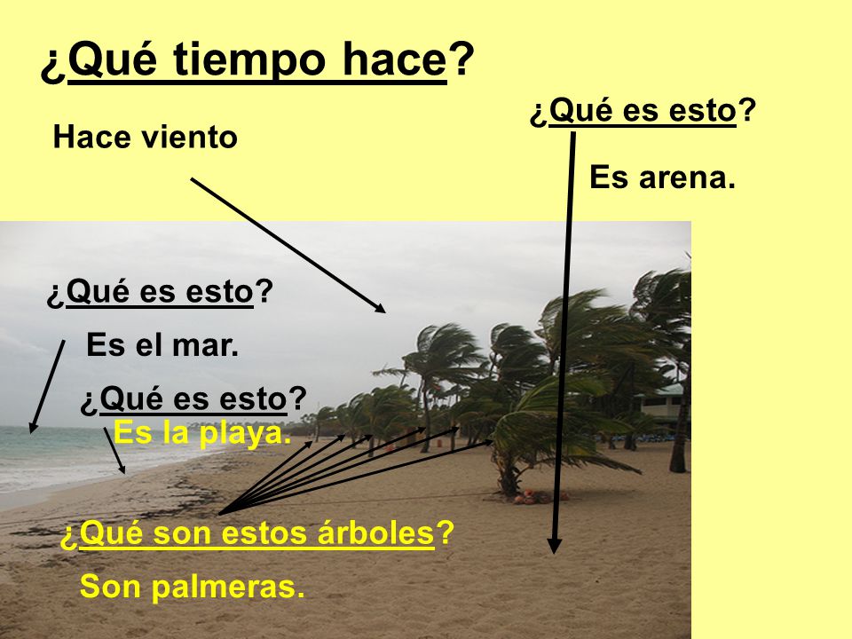 ¿Qué tiempo hace ¿Qué es esto Hace viento Es arena. ¿Qué es esto