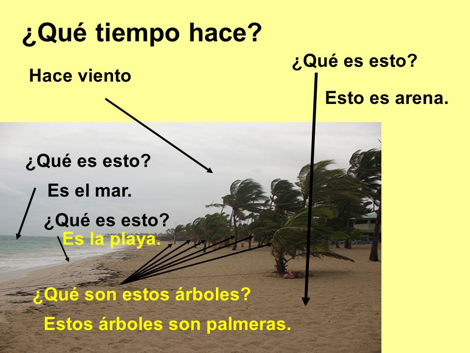 ¿Qué tiempo hace ¿Qué es esto Hace viento Esto es arena.