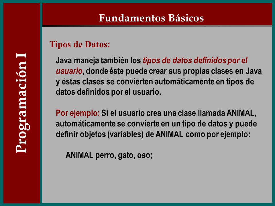 Programación I Fundamentos Básicos Tipos de Datos: