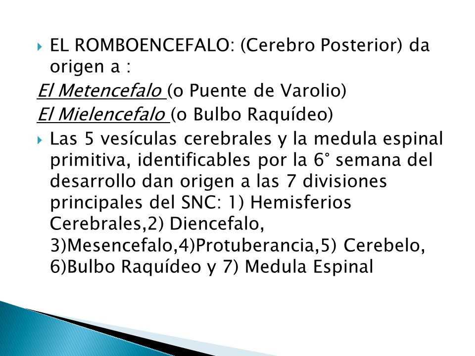 EL ROMBOENCEFALO: (Cerebro Posterior) da origen a :
