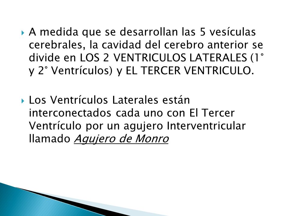A medida que se desarrollan las 5 vesículas cerebrales, la cavidad del cerebro anterior se divide en LOS 2 VENTRICULOS LATERALES (1° y 2° Ventrículos) y EL TERCER VENTRICULO.