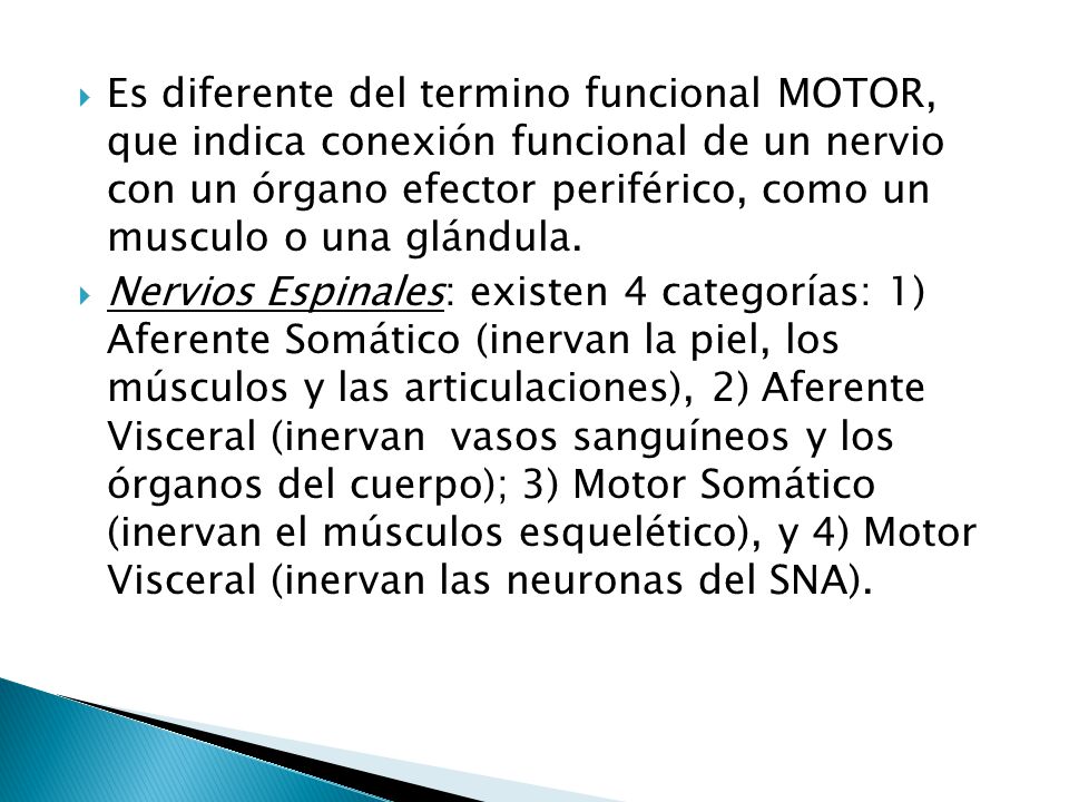 Es diferente del termino funcional MOTOR, que indica conexión funcional de un nervio con un órgano efector periférico, como un musculo o una glándula.