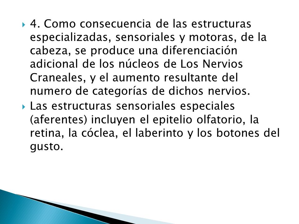 4. Como consecuencia de las estructuras especializadas, sensoriales y motoras, de la cabeza, se produce una diferenciación adicional de los núcleos de Los Nervios Craneales, y el aumento resultante del numero de categorías de dichos nervios.