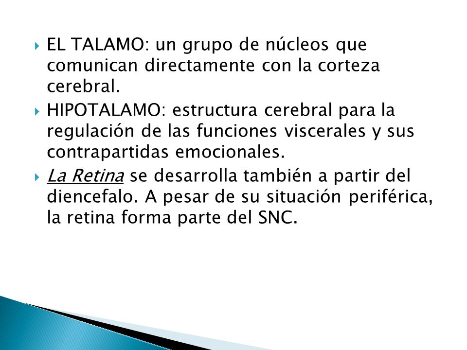 EL TALAMO: un grupo de núcleos que comunican directamente con la corteza cerebral.