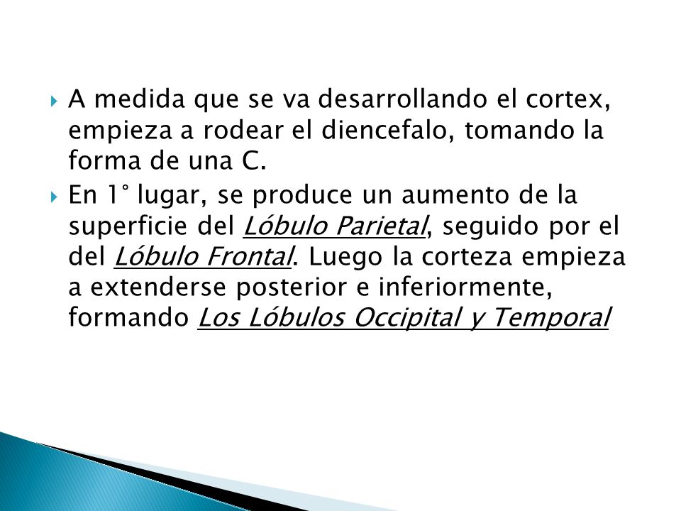 A medida que se va desarrollando el cortex, empieza a rodear el diencefalo, tomando la forma de una C.