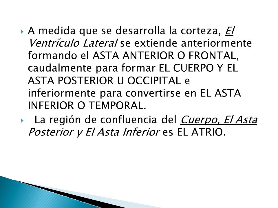 A medida que se desarrolla la corteza, El Ventrículo Lateral se extiende anteriormente formando el ASTA ANTERIOR O FRONTAL, caudalmente para formar EL CUERPO Y EL ASTA POSTERIOR U OCCIPITAL e inferiormente para convertirse en EL ASTA INFERIOR O TEMPORAL.