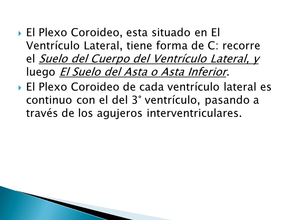 El Plexo Coroideo, esta situado en El Ventrículo Lateral, tiene forma de C: recorre el Suelo del Cuerpo del Ventrículo Lateral, y luego El Suelo del Asta o Asta Inferior.