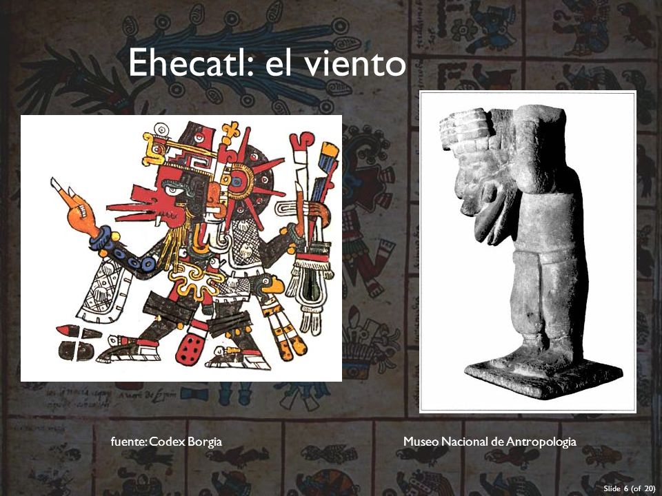 Ehecatl: el viento fuente: Codex Borgia Museo Nacional de Antropologia