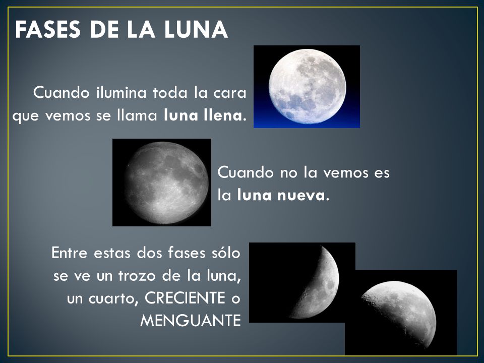 FASES DE LA LUNA Cuando ilumina toda la cara que vemos se llama luna llena. Cuando no la vemos es la luna nueva.