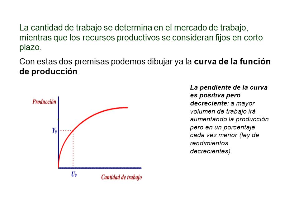 La cantidad de trabajo se determina en el mercado de trabajo, mientras que los recursos productivos se consideran fijos en corto plazo.