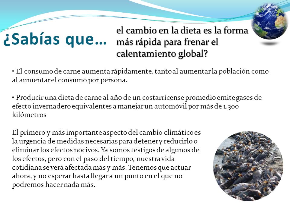 el cambio en la dieta es la forma más rápida para frenar el calentamiento global