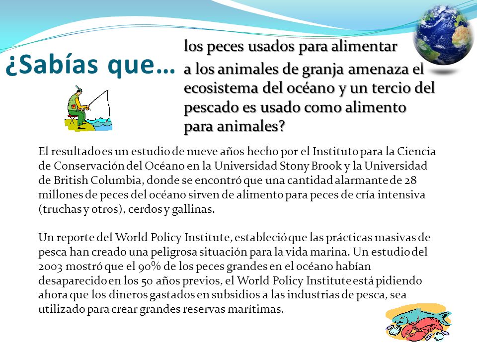 los peces usados para alimentar a los animales de granja amenaza el ecosistema del océano y un tercio del pescado es usado como alimento para animales