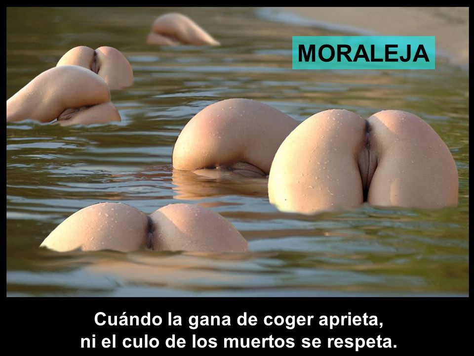 Cuándo la gana de coger aprieta, ni el culo de los muertos se respeta.