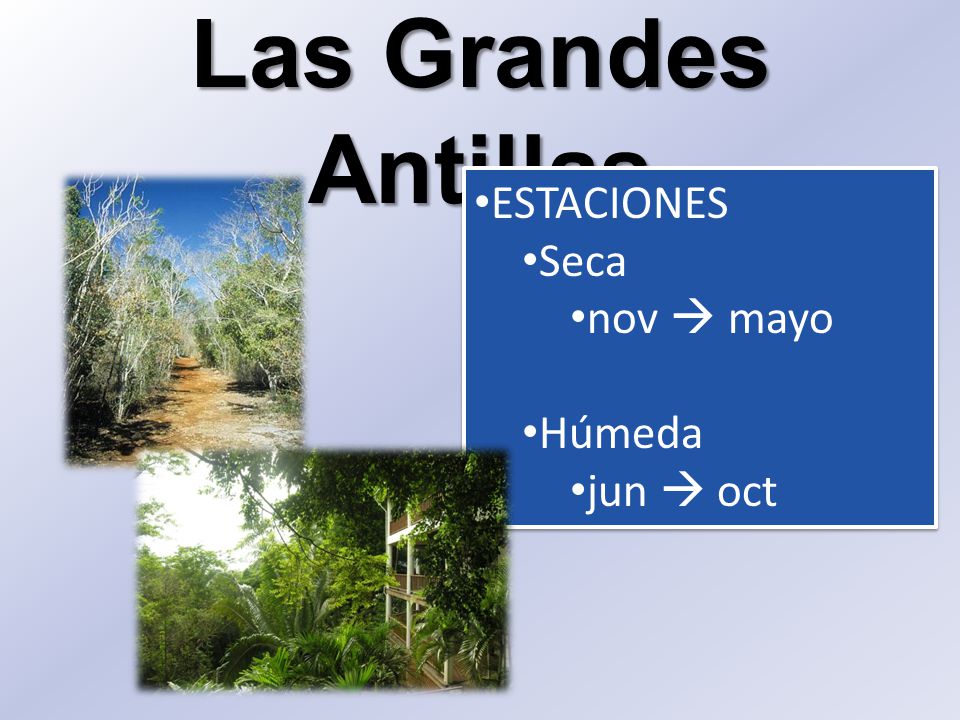 Las Grandes Antillas ESTACIONES Seca nov  mayo Húmeda jun  oct