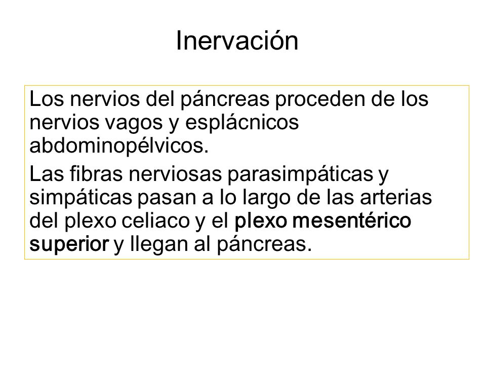 Inervación Los nervios del páncreas proceden de los nervios vagos y esplácnicos abdominopélvicos.