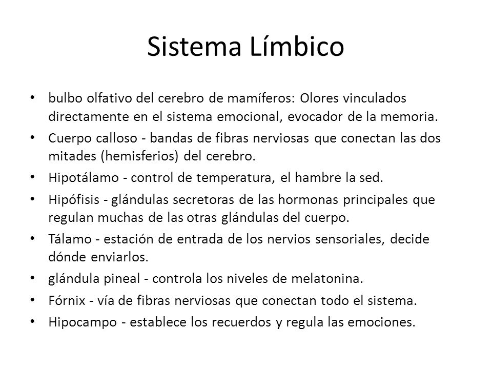 Sistema Límbico bulbo olfativo del cerebro de mamíferos: Olores vinculados directamente en el sistema emocional, evocador de la memoria.