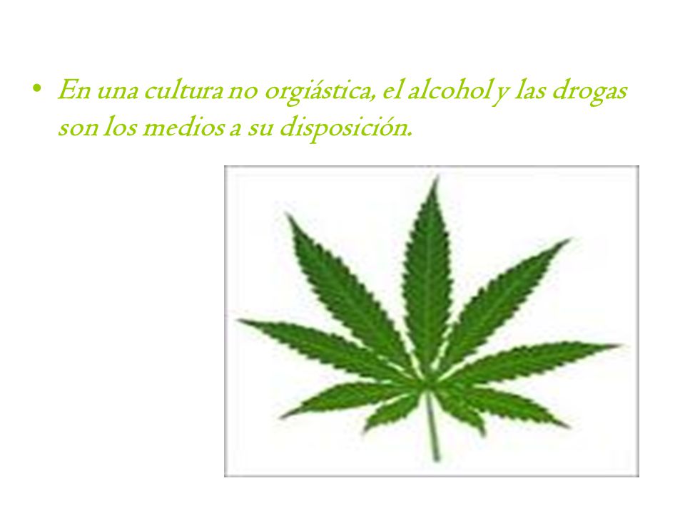 En una cultura no orgiástica, el alcohol y las drogas son los medios a su disposición.