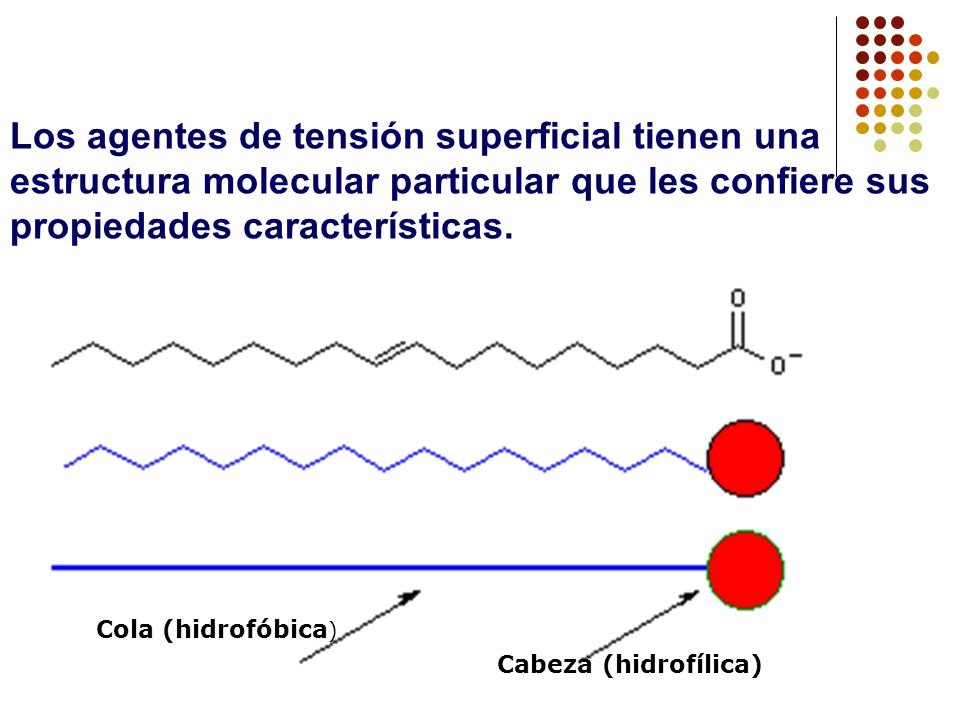 Los agentes de tensión superficial tienen una estructura molecular particular que les confiere sus propiedades características.