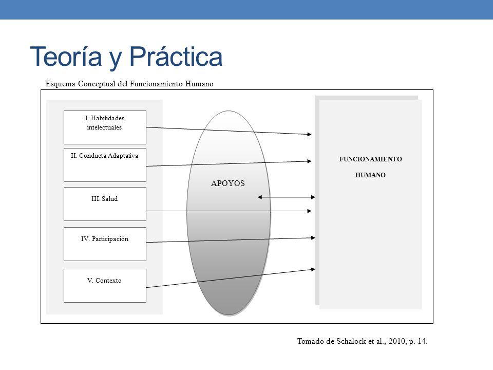 Teoría y Práctica Esquema Conceptual del Funcionamiento Humano APOYOS