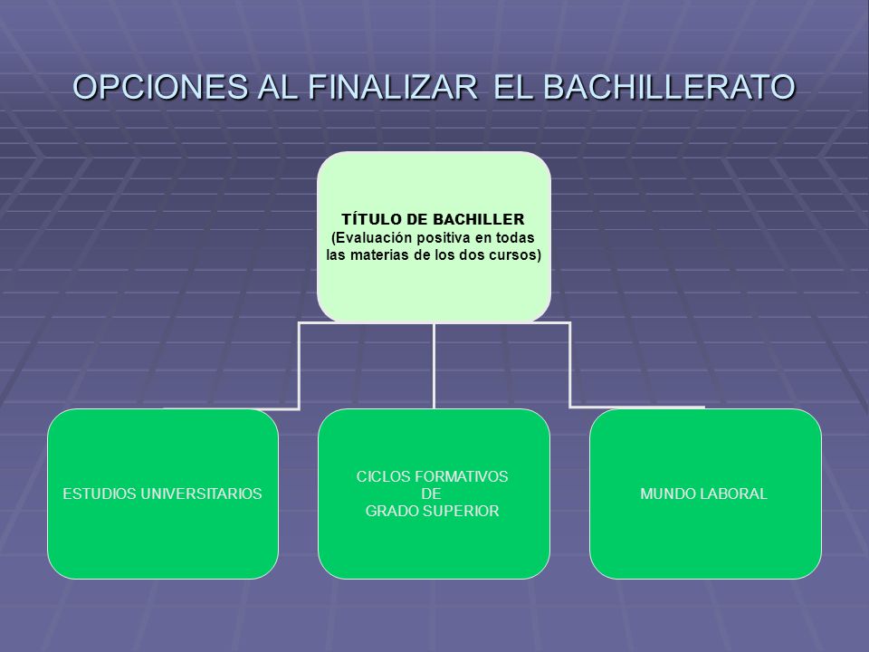 (Evaluación positiva en todas las materias de los dos cursos)