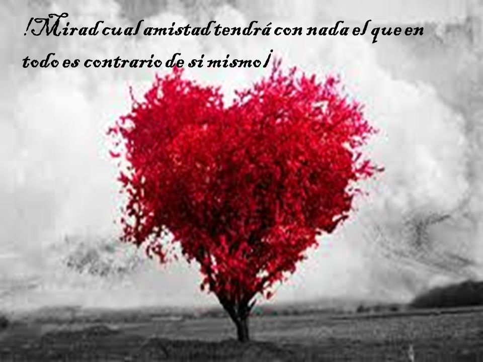 !Mirad cual amistad tendrá con nada el que en todo es contrario de si mismo¡