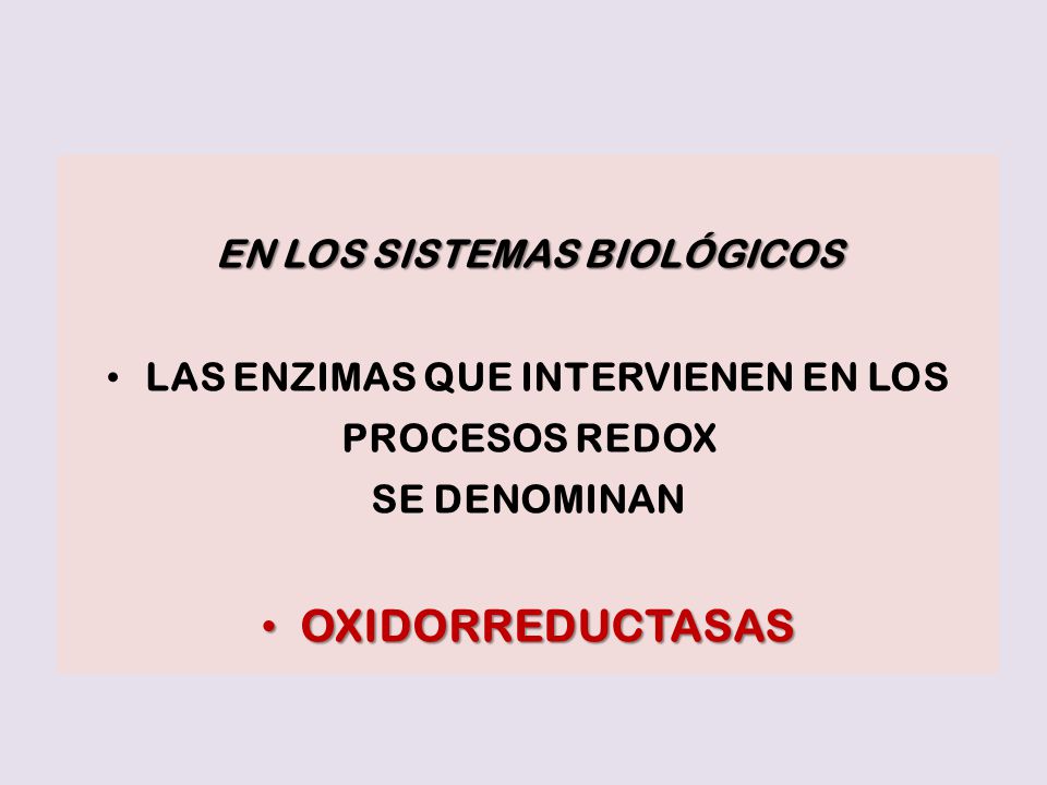 EN LOS SISTEMAS BIOLÓGICOS LAS ENZIMAS QUE INTERVIENEN EN LOS