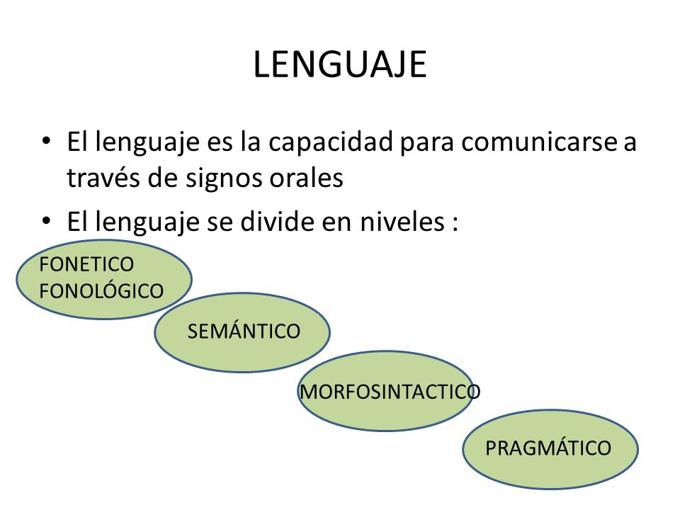 LENGUAJE El lenguaje es la capacidad para comunicarse a través de signos orales. El lenguaje se divide en niveles :