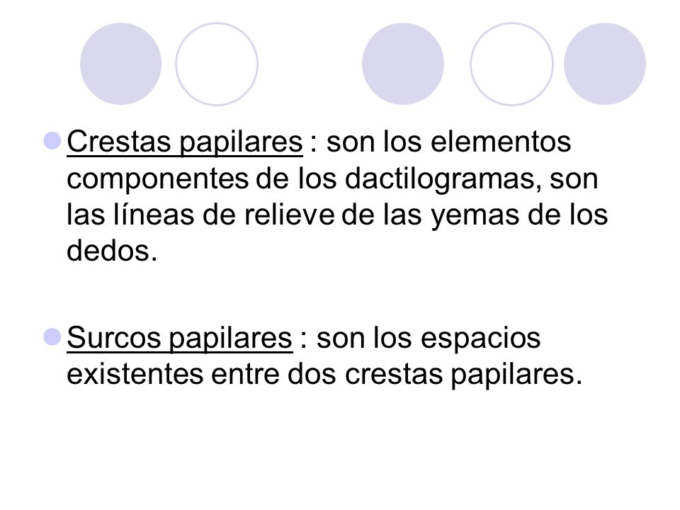 Crestas papilares : son los elementos componentes de los dactilogramas, son las líneas de relieve de las yemas de los dedos.