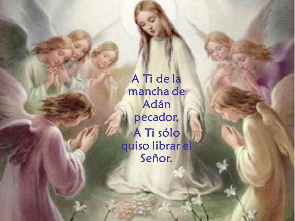 A Ti de la mancha de Adán pecador, A Ti sólo quiso librar el Señor.