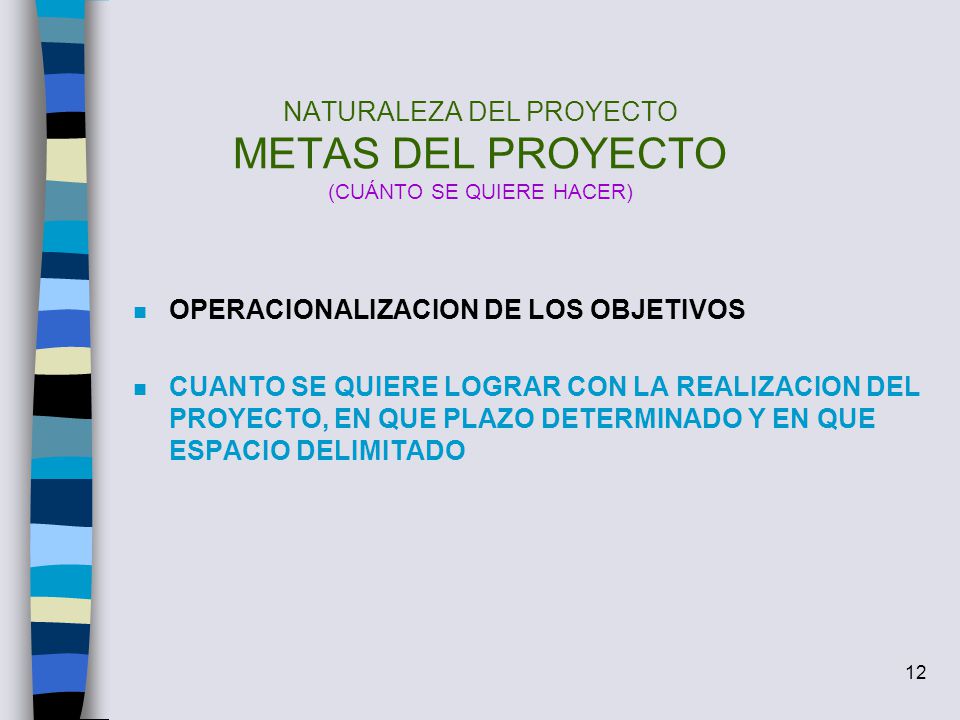 NATURALEZA DEL PROYECTO METAS DEL PROYECTO (CUÁNTO SE QUIERE HACER)