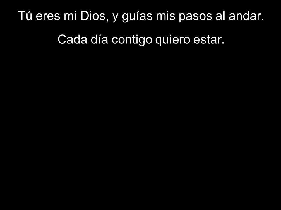 Tú eres mi Dios, y guías mis pasos al andar.
