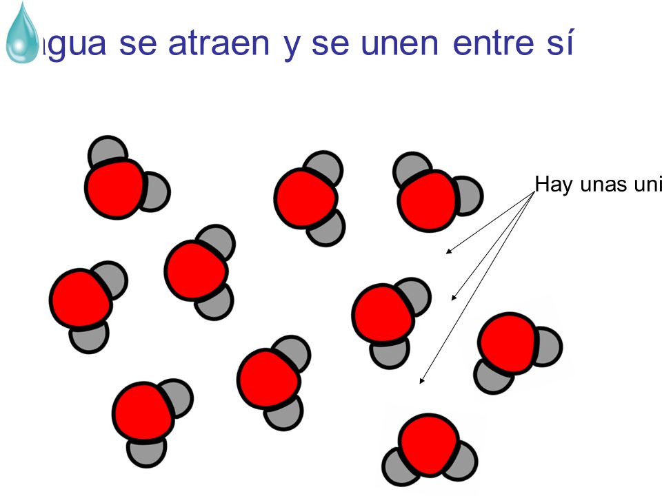 Por ello las moléculas de agua se atraen y se unen entre sí