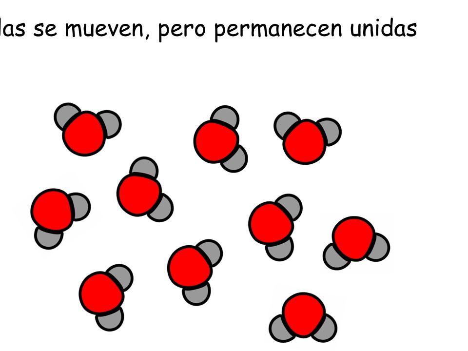 Cuando el agua está líquida, las moléculas se mueven, pero permanecen unidas