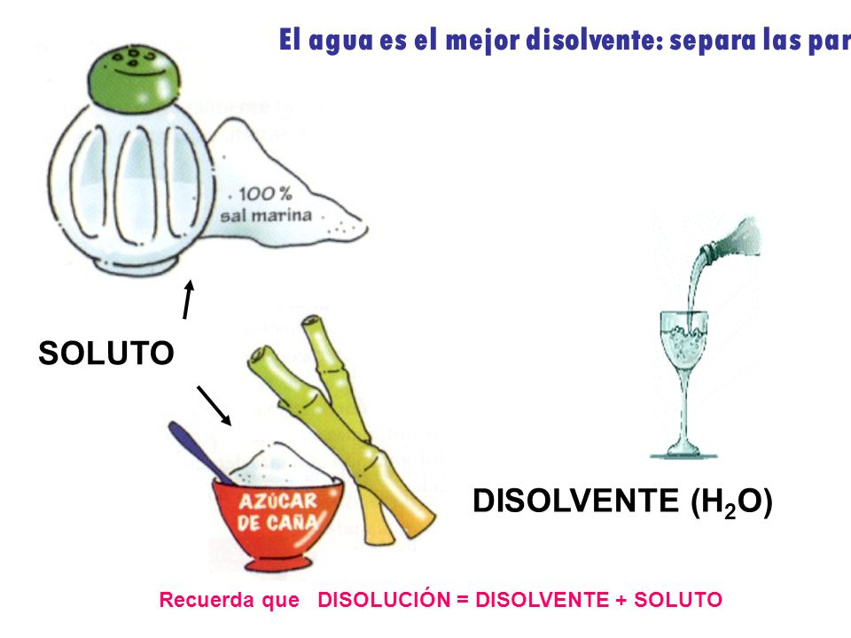 El agua es el mejor disolvente: separa las partículas de un sólido o soluto