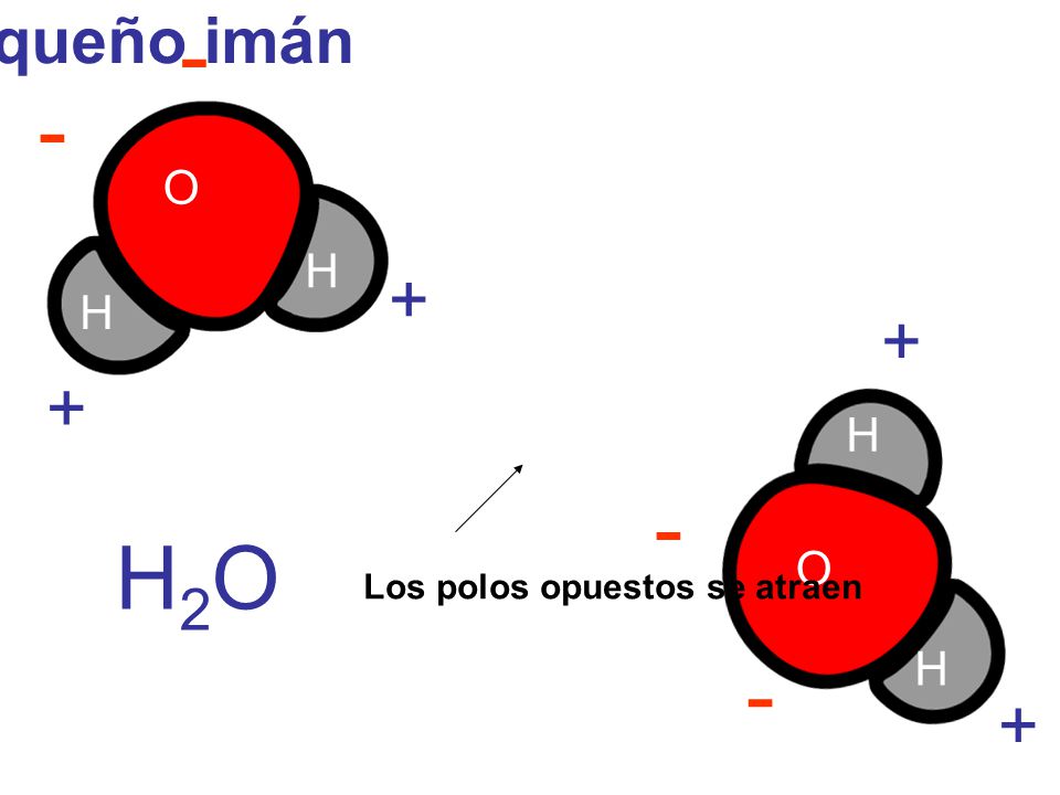 - - H2O + + Cada molécula de agua es como un pequeño imán O H H O