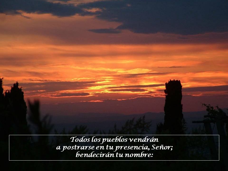 Todos los pueblos vendrán a postrarse en tu presencia, Señor; bendecirán tu nombre: