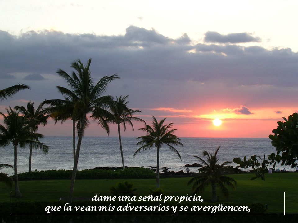 dame una señal propicia, que la vean mis adversarios y se avergüencen,