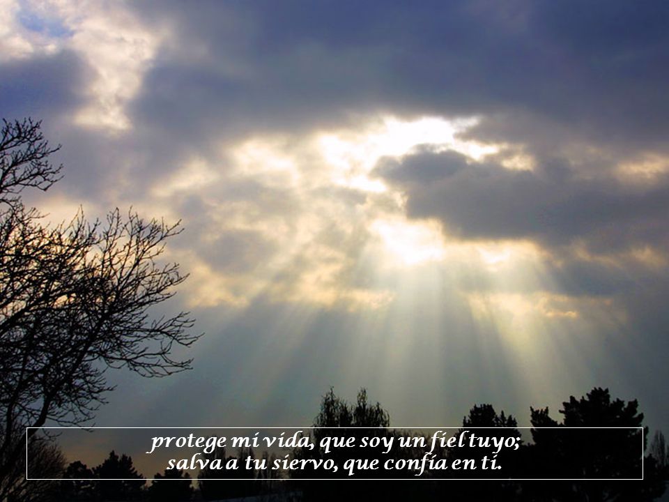 protege mi vida, que soy un fiel tuyo; salva a tu siervo, que confía en ti.